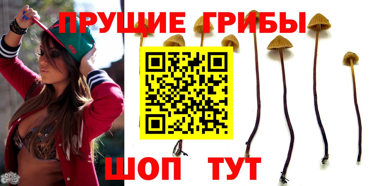 Санкт-Петербург  закладка  Вход с VPN  Галлюциногенные грибы прущие грибы 