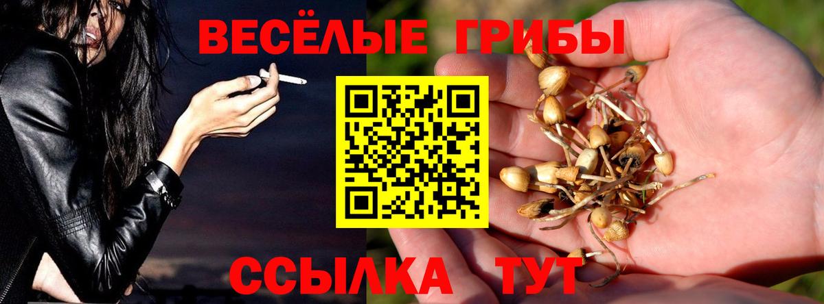 Галлюциногенные грибы Cubensis Санкт-Петербург